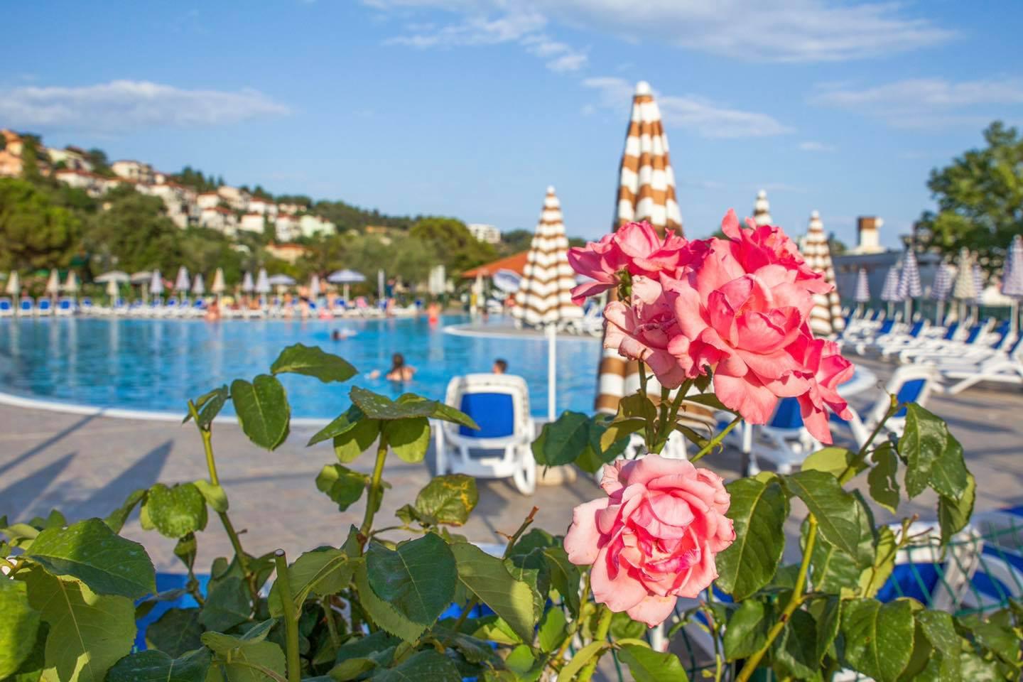 Hotel Hedera - Maslinica Hotels&Resorts Rabac Esterno foto